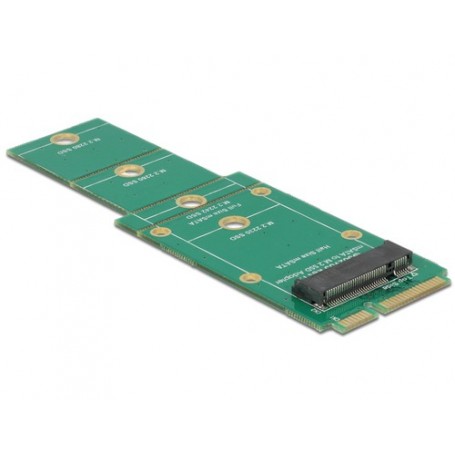 DeLOCK 62592 scheda di interfaccia e adattatore Interno mSATA (62592)