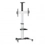 LogiLink BP0025 carrello e supporto multimediale Bianco Pannello piatto Carrello multimediale (BP0025)