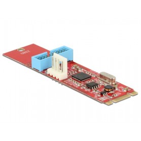 DeLOCK 62842 scheda di interfaccia e adattatore Interno USB 3.2 Gen 1 (3.1 Gen 1) (62842)