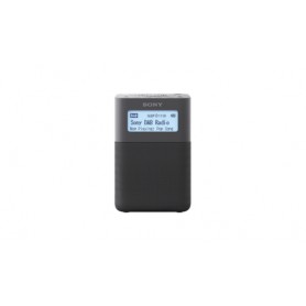 Sony XDR-V20D Orologio Digitale Grigio (XDRV20DH)