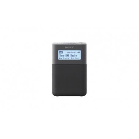 Sony XDR-V20D Orologio Digitale Grigio (XDRV20DH)