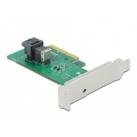 DeLOCK 90437 scheda di interfaccia e adattatore (90437)