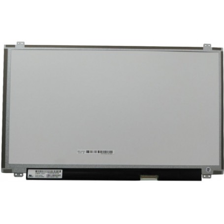 CoreParts MSC173F30-120M ricambio per notebook Display (MSC173F30-120M)