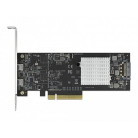 DeLOCK 89009 scheda di interfaccia e adattatore Interno USB 3.2 Gen 2 (3.1 Gen 2) (89009)