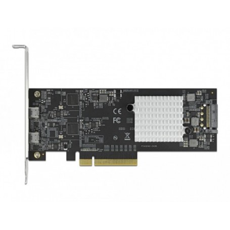 DeLOCK 89009 scheda di interfaccia e adattatore Interno USB 3.2 Gen 2 (3.1 Gen 2) (89009)