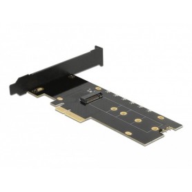 DeLOCK 89013 scheda di interfaccia e adattatore Interno M.2 (89013)