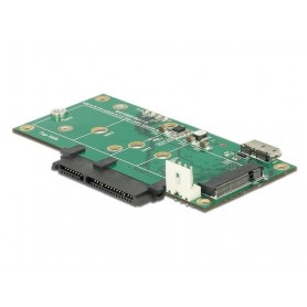 DeLOCK 62867 scheda di interfaccia e adattatore Interno M.2, SATA, mSATA (62867)