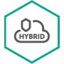 Kaspersky Lab Hybrid Cloud Security (KL4253XADDS)