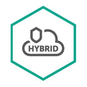 Kaspersky Lab Hybrid Cloud Security for Server Rinnovo 3 anno/i (KL4255XAKTR)