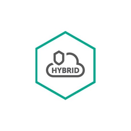 Kaspersky Lab Hybrid Cloud Security for Server Rinnovo 3 anno/i (KL4255XAKTR)