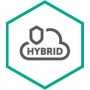 Kaspersky Lab Hybrid Cloud Security for Server Rinnovo 3 anno/i (KL4255XAKTR)