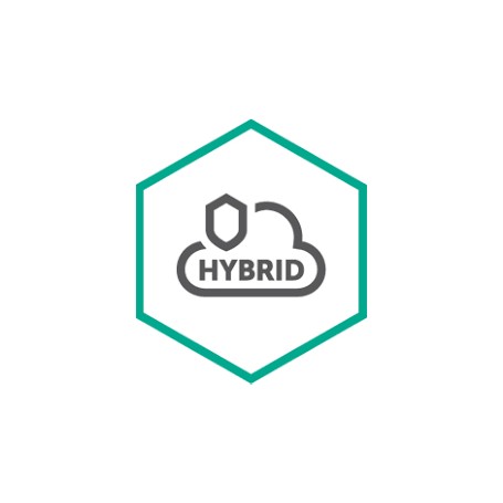 Kaspersky Lab Hybrid Cloud Security (KL4554XAQTS)