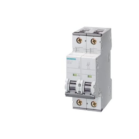 Siemens 5SY4206-8 interruttore automatico Interruttore in miniatura 2 (5SY4206-8)