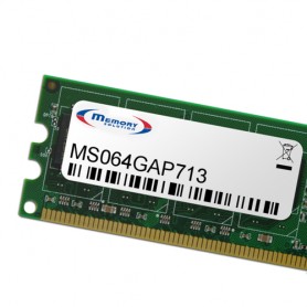 Memory Solution MS064GAP713 memoria 64 GB (MS064GAP713)