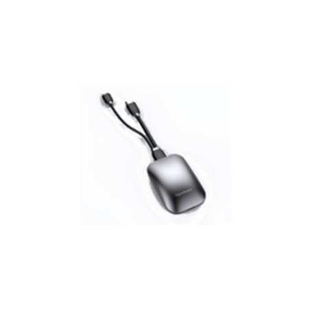 Viewsonic VB-WPS-003 telecomando WiFi Display interattivo (VB-WPS-003)