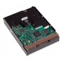HP 500GB SATA-3 6GB/s SQ hard drive 3.5" Serial ATA III (684593-001)