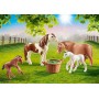 Playmobil 70682 set di action figure giocattolo (70682)