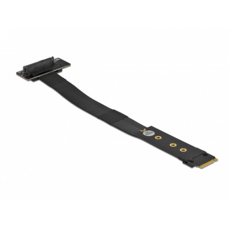 DeLOCK 64135 scheda di interfaccia e adattatore Interno U.2 (64135)