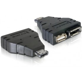 DeLOCK Adapter Power-over-eSATA  1x eSATA/1x USB 1xeSATA, 1xUSB Nero (65119)