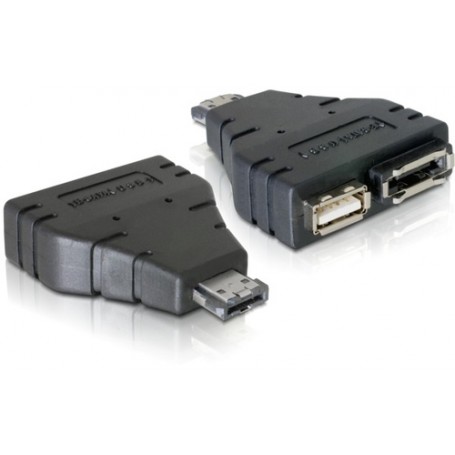 DeLOCK Adapter Power-over-eSATA  1x eSATA/1x USB 1xeSATA, 1xUSB Nero (65119)
