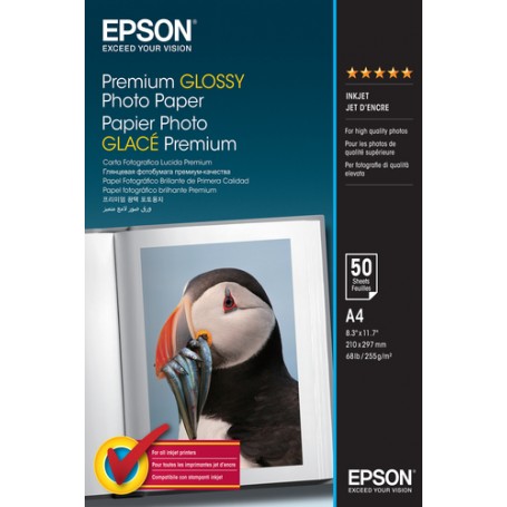 Epson Premium, DIN A4, 255g/m² carta fotografica Bianco Lucida (C13S041624)