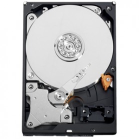 Western Digital 500GB 64MB 6Gb/s 5400RPM 3.5" Serial ATA III (WD5000AURX)
