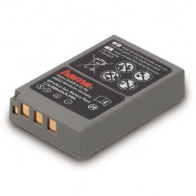 Hama DP 470 Ioni di Litio 900 mAh (00077517)
