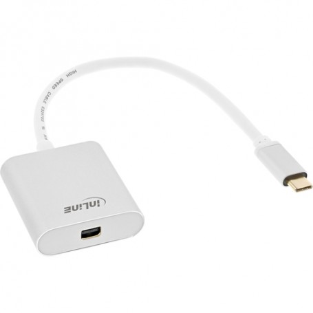 InLine 64105S cavo e adattatore video USB tipo-C Mini DisplayPort Argento (64105S)