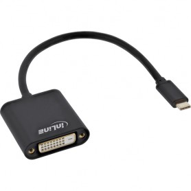 InLine 64103B cavo e adattatore video USB tipo-C DVI-D (64103B)