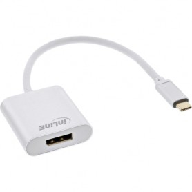 InLine 64102S cavo e adattatore video USB tipo-C Argento (64102S)