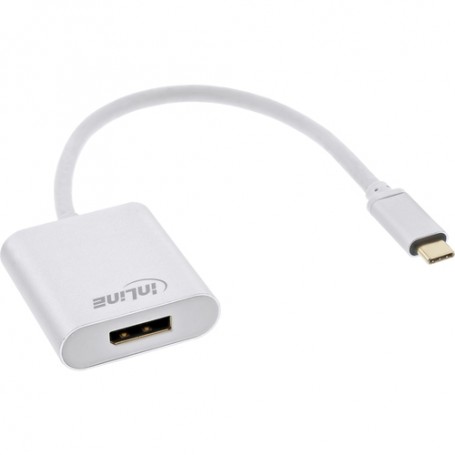 InLine 64102S cavo e adattatore video USB tipo-C Argento (64102S)