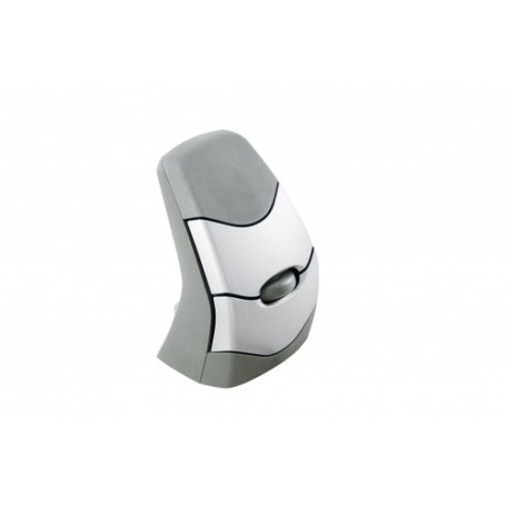 BakkerElkhuizen DXT Precision mouse Ambidestro RF Wireless (BNEDXTW)