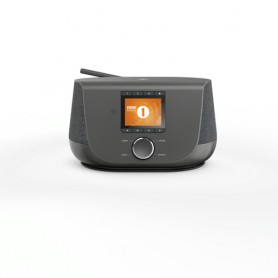 Hama DIR3300SBT Internet Digitale Nero (00054228)