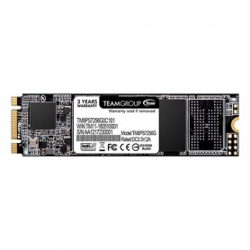 Team Group MS30 M.2 256 GB Serial ATA III (TM8PS7256G0C101)