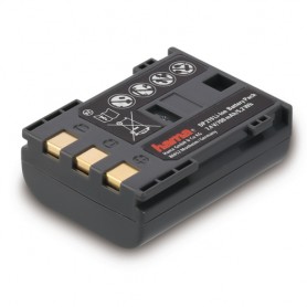 Hama DP 219 Ioni di Litio 700 mAh (00077529)