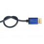 Alcasa DP-AD07 cavo e adattatore video 0,2 m DisplayPort HDMI Blu (DP-AD07)