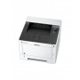 KYOCERA ECOSYS P2235dn/KL3 1200 x 1200 DPI A4 (870B61102RV3NLX)