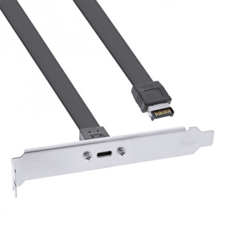 InLine 33446H scheda di interfaccia e adattatore USB tipo-C (33446H)