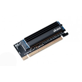 Akasa AK-PCCM2P-05 scheda di interfaccia e adattatore Interno M.2 (AK-PCCM2P-05)