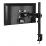 ARCTIC Z1 Basic 81,3 cm (32") Morsa Nero (AEMNT00039A)