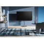 Loewe bild i.55 DR+ Smart TV OLED 4K da 55 "(139 cm) con os7 (Loewe bild i.55 DR+_PROMO)