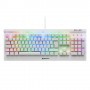 Sharkoon SKILLER SGK3 tastiera USB QWERTZ Tedesco Bianco (4044951032143)