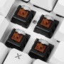 Sharkoon SKILLER SGK3 tastiera USB QWERTZ Tedesco Bianco (4044951032143)