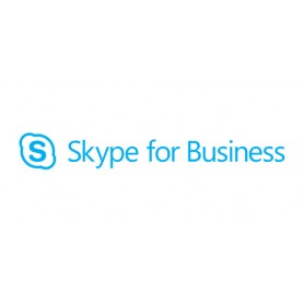 Microsoft Lync SRV Plus CAL Int 1 licenza/e 2 anno/i (YEG-00165)