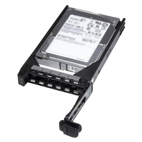 DELL FNW88 disco rigido interno 3.5" 1000 GB SAS (FNW88)