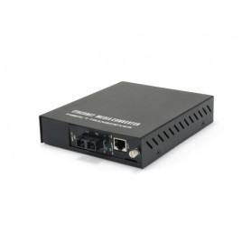 LevelOne FVM-1101 convertitore multimediale di rete 100 Mbit/s 1310 nm Nero (FVM-1101)