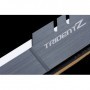 G.Skill Trident Z memoria 32 GB 2 x 16 GB DDR4 3200 MHz (F4-3200C14D-32GTZSW)