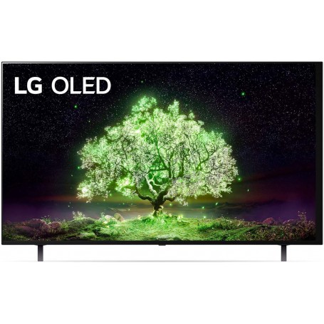 LG OLED65A13LA TV 165,1 cm (65") 4K Ultra HD Smart TV Wi-Fi Grigio (OLED65A13LA_PROMO)