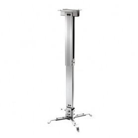 Celexon 1090299 supporto per proiettore Soffitto (1090299)