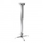 Celexon 1090299 supporto per proiettore Soffitto (1090299)